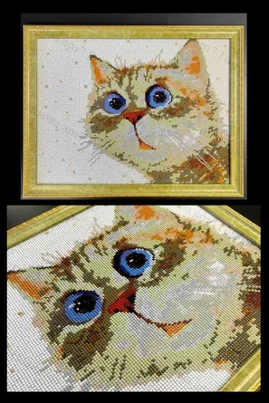 Кот в пластиковой раме.